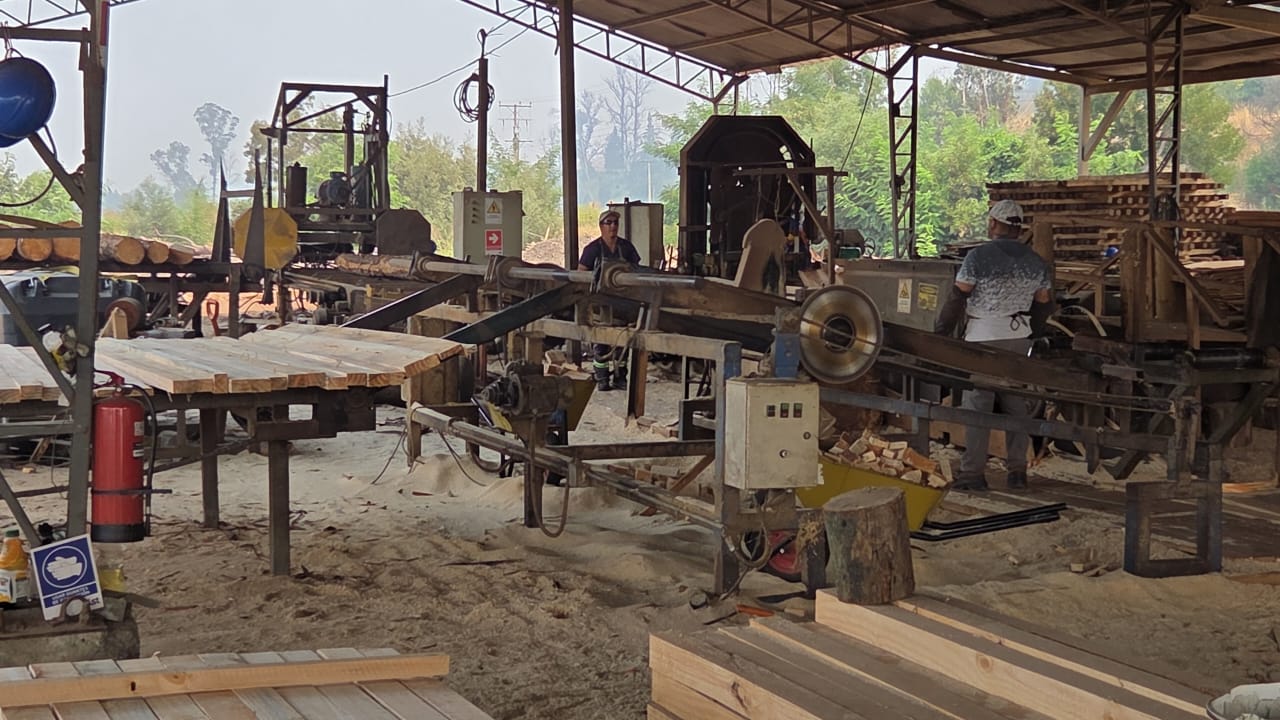 Aserradero propio en operación