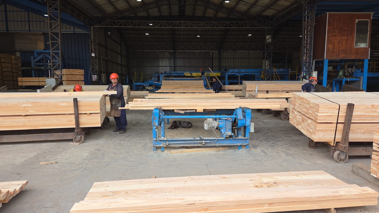 Proceso de corte y dimensionado