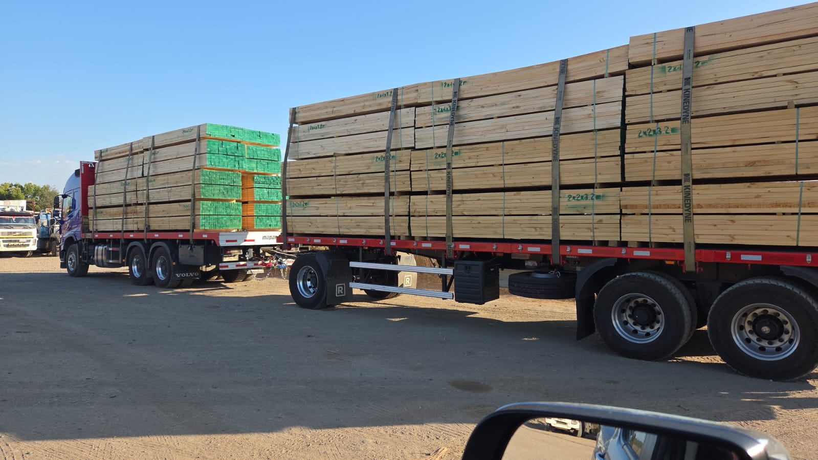 Camión cargado con madera de pino
